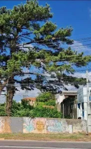 Lote/Terreno à venda, 357m² no Bom Princípio, Gravataí