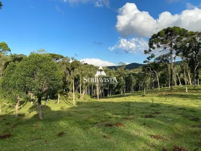 Fazenda/Sítio com 1 Quarto à venda, 75468m² no Rio Vermelho Povoado, São Bento do Sul