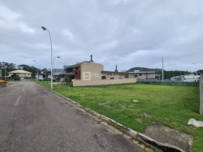 Lote/Terreno à venda, 375m² no São João do Rio Vermelho, Florianópolis