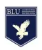 Miniatura da foto de Blu Assessoria Imobiliária