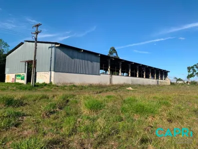 Galpão/Depósito/Armazém à venda, 1220m² no Eucaliptos, Fazenda Rio Grande