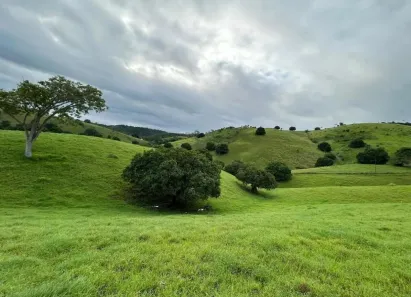 Fazenda/Sítio com 2 Quartos à venda, 140000m² no , União dos Palmares
