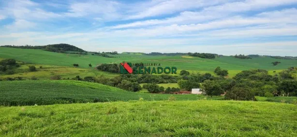 com 3 Quartos à venda, 4143039m² no Jataizinho, Jataizinho