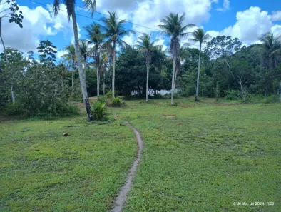 Fazenda/Sítio com 3 Quartos à venda, 42000m² no Aldeia dos Camarás, Camaragibe
