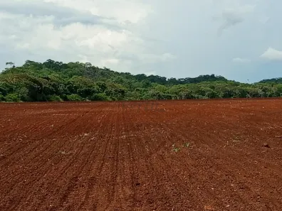 Fazenda/Sítio com 5 Quartos à venda, 900m² no Bnh(Vila Recreio, Jardim Andreia), Bonito