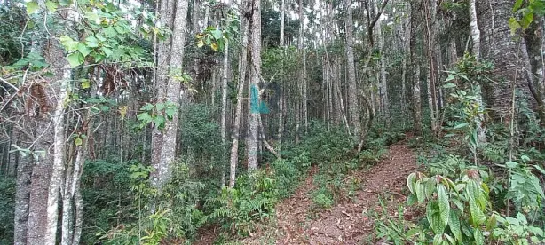 à venda, 1m² no , Marmelópolis
