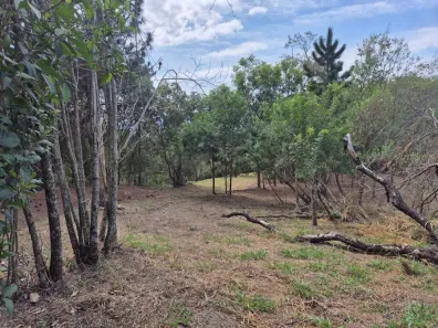 Lote/Terreno à venda, 4500m² no Parque Fernão Dias, Atibaia