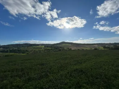 Lote/Terreno à venda, 500m² no dos Pereiras (Caucaia do Alto), Cotia