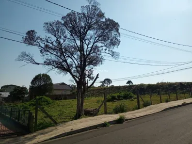 Lote/Terreno à venda, 1242m² no Centro, Canela