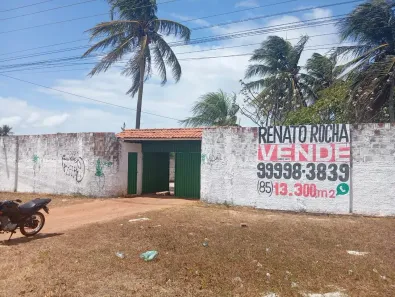 Fazenda/Sítio com 4 Quartos à venda, 13233m² no Taíba, São Gonçalo do Amarante