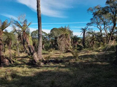 Lote/Terreno à venda, 200000m² no , Urubici