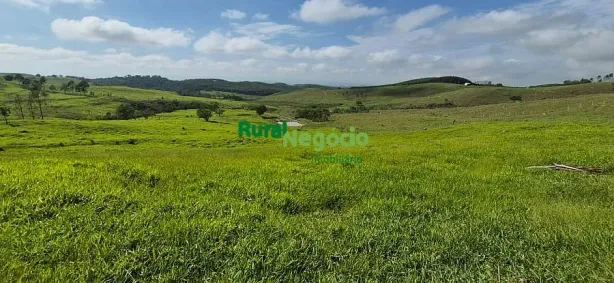 Fazenda/Sítio à venda, 5000m² no Centro, Lorena