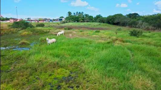 Fazenda/Sítio à venda, 18000m² no Virgem Santa, Macaé