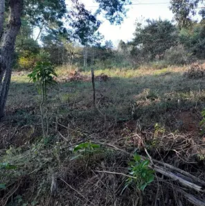 Lote/Terreno à venda, 3900m² no Filgueiras, Juiz de Fora