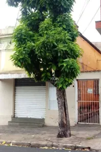 Casa com 1 Quarto à venda, 71m² no Vila Tibério, Ribeirão Preto