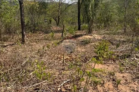 Fazenda/Sítio com 1 Quarto à venda, 1200m² no Área Rural de Rondonópolis, Rondonópolis