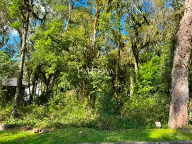 Lote/Terreno à venda, 612m² no Caracol, Canela