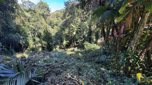 Lote/Terreno à venda, 266m² no Promirim, Ubatuba