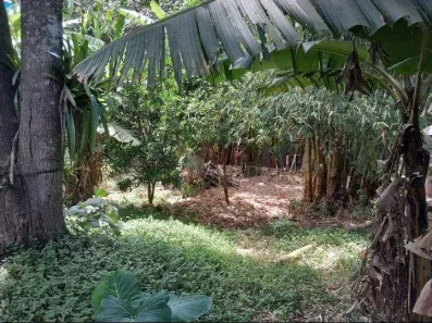 Fazenda/Sítio com 2 Quartos à venda, 100m² no Recreio da Borda do Campo, Santo André