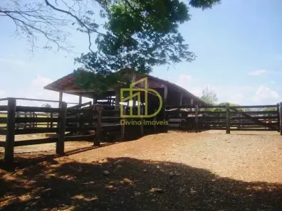 Fazenda/Sítio à venda, 10m² no Guarapó, Quadra