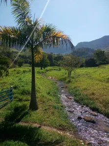 Fazenda/Sítio com 5 Quartos à venda, 96800m² no Sana, Macaé