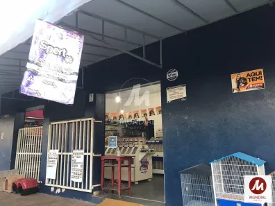 Imóvel Comercial com 3 Quartos à venda, 195m² no Geraldo Correia de Carvalho, Ribeirão Preto