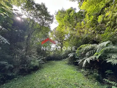 Fazenda/Sítio com 3 Quartos à venda, 110m² no Centro, Três Coroas