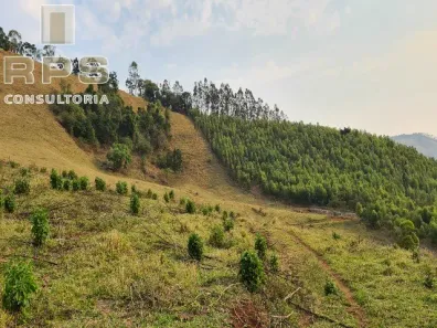 Fazenda/Sítio com 1 Quarto à venda, 266200m² no Cachoeira Acima, Joanópolis