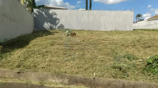 Lote/Terreno para alugar, 501m² no City Ribeirão, Ribeirão Preto