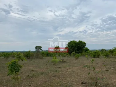 Fazenda/Sítio à venda, 1m² no , Dois Irmãos do Tocantins