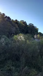 Fazenda/Sítio à venda, 176927m² no Área Rural de Farroupilha, Farroupilha