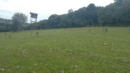 Imóvel Comercial à venda, 168484m² no Criúva, Caxias do Sul