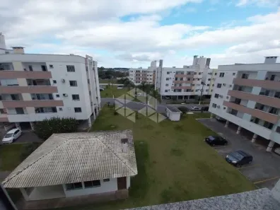 Apartamento com 2 Quartos para alugar, 56m² no Forquilhas, São José