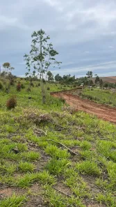Lote/Terreno à venda, 500m² no Puris, Ibiúna