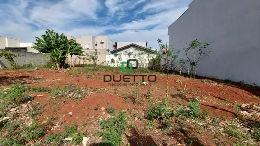 Lote/Terreno à venda, 312m² no Jardim Terramérica III, Americana