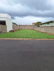 Lote/Terreno à venda, 308m² no Jardim dos Flamboyants, Araraquara