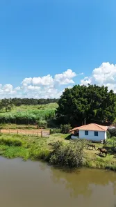 Fazenda/Sítio com 3 Quartos à venda, 14m² no , Professor Jamil