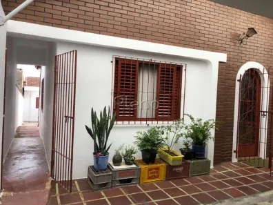 Casa com 3 Quartos à venda, 353m² no Jardim Paulicéia, Campinas