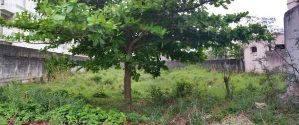 Lote/Terreno à venda, 1089m² no Loteamento João Batista Julião, Guarujá