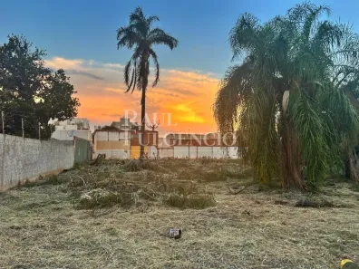 Lote/Terreno para alugar, 1620m² no Vila Ipiranga, Londrina
