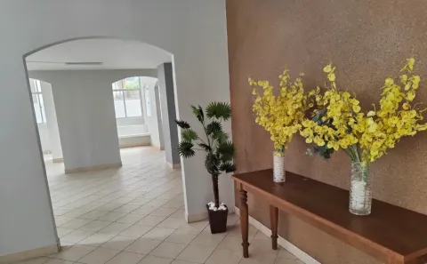 Apartamento com 3 Quartos para alugar, 80m² no Itaigara, Salvador