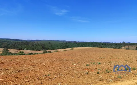 Fazenda/Sítio com 1 Quarto à venda, 726000m² no Área Rural de Itapetininga, Itapetininga
