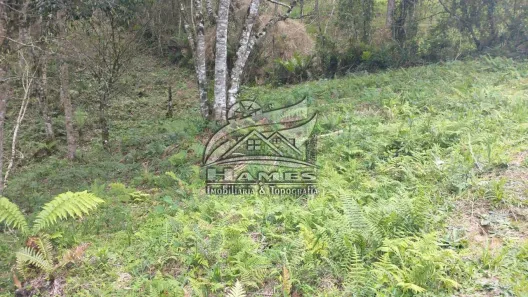 Lote/Terreno à venda, 1306m² no , Rancho Queimado