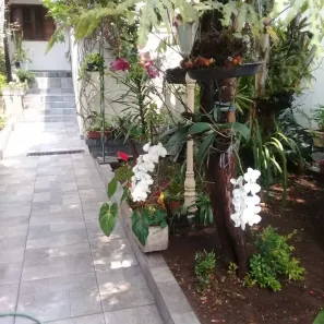 Casa com 6 Quartos à venda, 350m² no Vila Bertioga, São Paulo