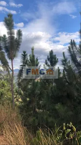 Lote/Terreno à venda, 13829m² no , Rio Acima