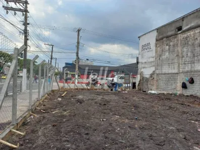 Lote/Terreno para alugar, 310m² no Mooca, São Paulo