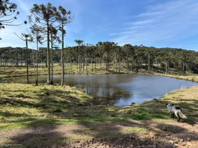 Fazenda/Sítio com 4 Quartos à venda, 150m² no , São Joaquim