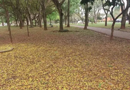 Lote/Terreno à venda, 1120m² no Condomínio Débora Cristina, São José do Rio Preto