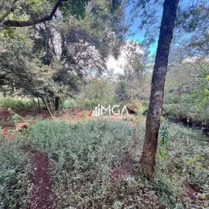 Lote/Terreno à venda, 27387m² no Mata Verde, Foz do Iguaçu