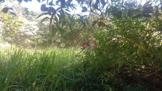 Lote/Terreno à venda, 977m² no Chácaras Novo Hamburgo, Campo Limpo Paulista
